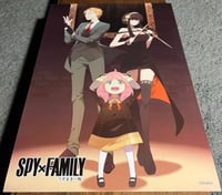 بوسترات سباي اكس فاميلي C