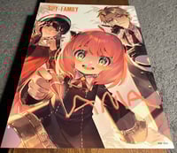 بوسترات سباي اكس فاميلي ( B )