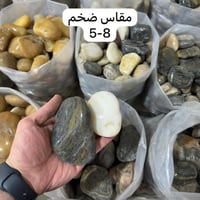 مقاس ضخم سمك 5-8 سم