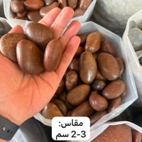 مقاس وسط سمك 2-3 سم