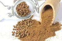 كزبرة طبيعي مطحون