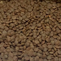 عدس (منوع) احمر - اخضر - بني - اصفر