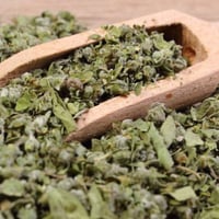 زعتر بري اوريجانو عضوي