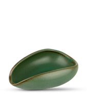 وعاء تقديم حبوب البن أخضر غامق