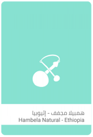 محمصة سلالات القهوة | هامبيلا إثيوبيا | 250 جرام