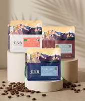 مجموعة | سي اند بي