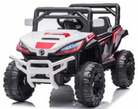 سيارة البوليسية الكهربائية