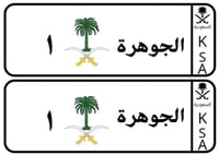 لوحة سيفين ونخلة عربي فقط