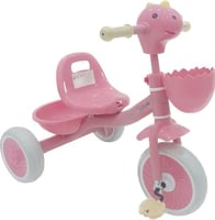 دراجة السلحفاة الهوائية