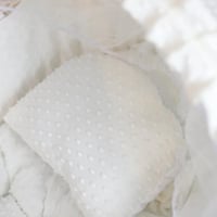 سلة موسى مع القاعدة