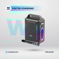 مكبر صوت للفعاليات بقوة 200 واط باللون الفضي من بو...