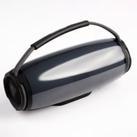 مكبر صوت محمول من قرين لايون بالما