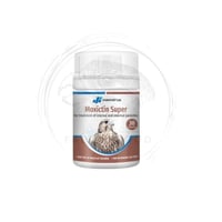 Moxictin Super علاج ديدان الرئة