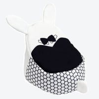 Alice's rabbit