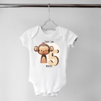 Set of 12 - Animals (2)