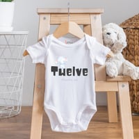 Set of 12 - Animals (1)