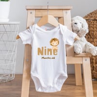 Set of 12 - Animals (1)