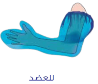 حامي جبيرة عازل للماء ﻟﻠﻘﺪم واﻟﺴﺎق متنوع