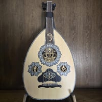 عود شرقي صدف كامل