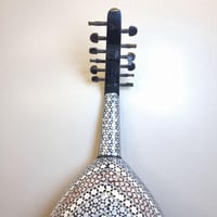 عود صدف كامل