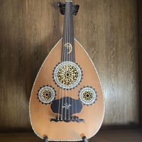 عود شرقي صدف كامل