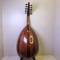 عود الفن نص لوكس