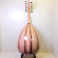 عود سوري فرس ثابت