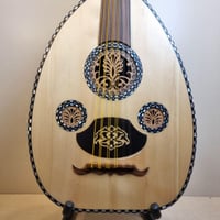 عود صدف كامل