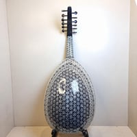 عود صدف كامل