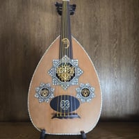 عود شرقي صدف كامل