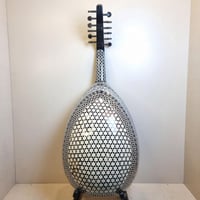 عود صدف كامل