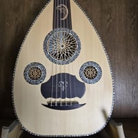 عود شرقي صدف كامل