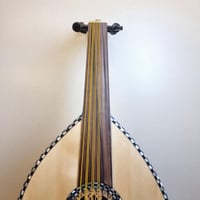 عود صدف كامل