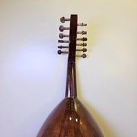 عود سوري فرس ثابت