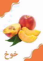 موسوعة بذور | الجزء الرابع