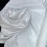 طاقة الشيوخ ياباني رسمي