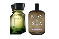 فايكس كاريكا من صمام - Ficus Carica by Samam