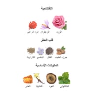 كلوب دي نيو انتنس النسائي من ارماف - Club de Nuit...