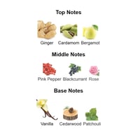 سبيكتر قوست فرنش افنيو - Spectre Ghost French Aven...