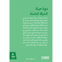 دورة حياة الشركة الناشئة