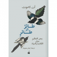 طائر إثر طائر