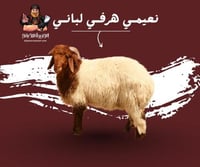 نعيمي هرفي لباني