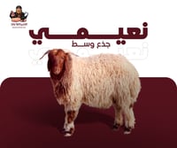 نعيمي جذع وسط