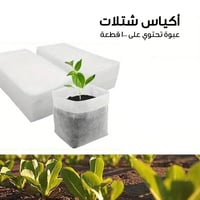 100 قطعة أكياس حضانة بذور قابلة للتحلل | متجر الجي...