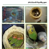 عش طيور قش منسوج يدويًا | متجر الجيل الأخضر