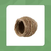 عش طيور قش منسوج يدويًا | متجر الجيل الأخضر