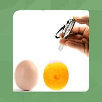جهاز فحص البيض LED – كاشف نمو الأجنة منخفض الحرارة...