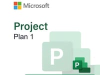 مايكروسوفت بروجيكت بلان 1 - سنة واحدة