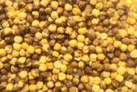 حمص هندي محمص