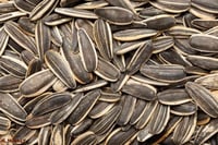 حب دوار الشمس محمص مالح